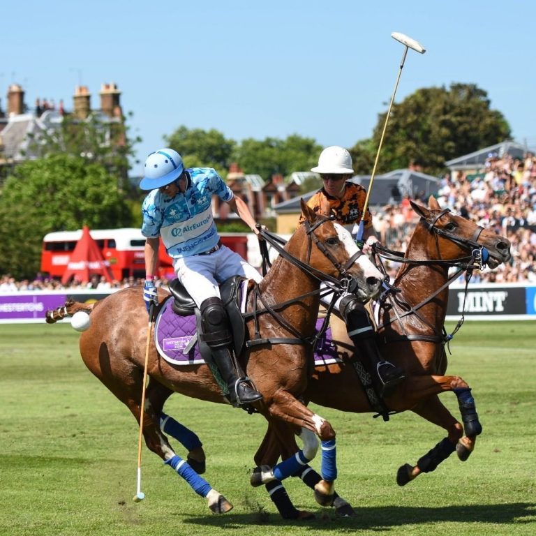 Polo spektakl u Porto Montenegru