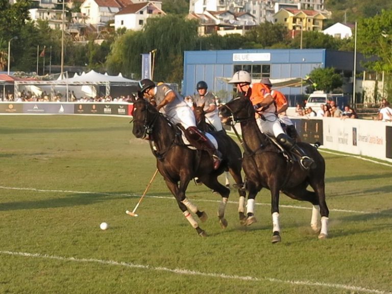 „Polo in the port“