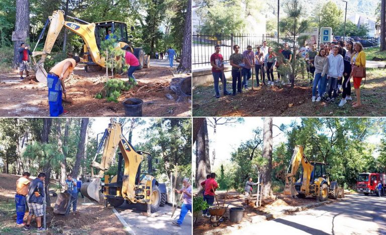 Veliki gradski park u Tivtu bogatiji za 40-tak novih sadnica
