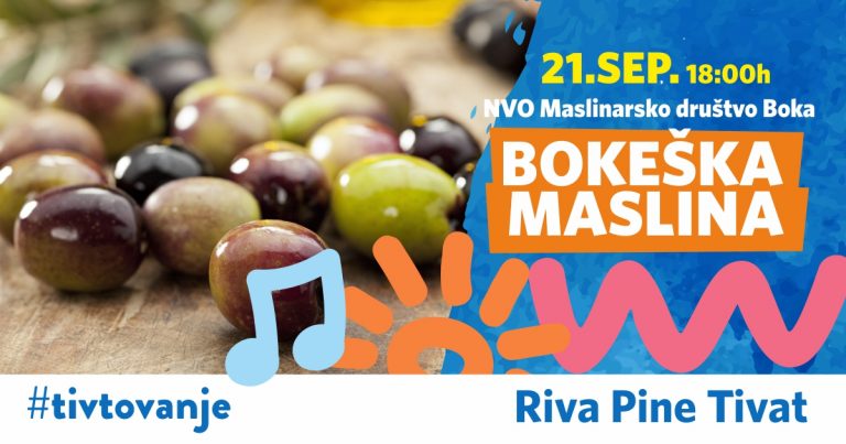 Bokeška maslina na rivi Pine