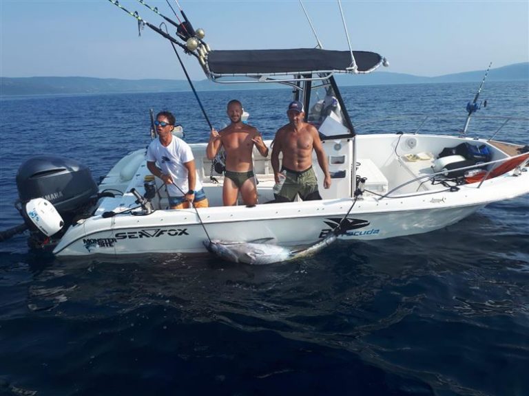 Oko Krka sve više tuna, u lovu najuspješniji Slovenci