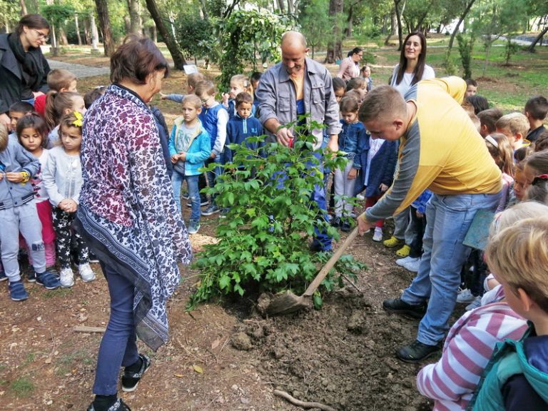 Sadnjom drveta generacije počela tradicionalna manifestacija “Dječija nedjelja”