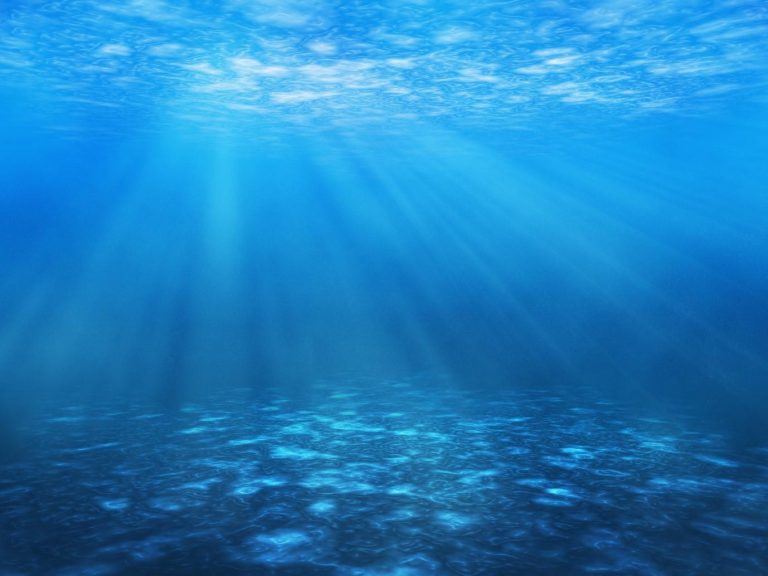 Naučnici s Instituta za oceanografiiju i ribarstvo: “Posljedica koronavirusa je pročišćeno more”