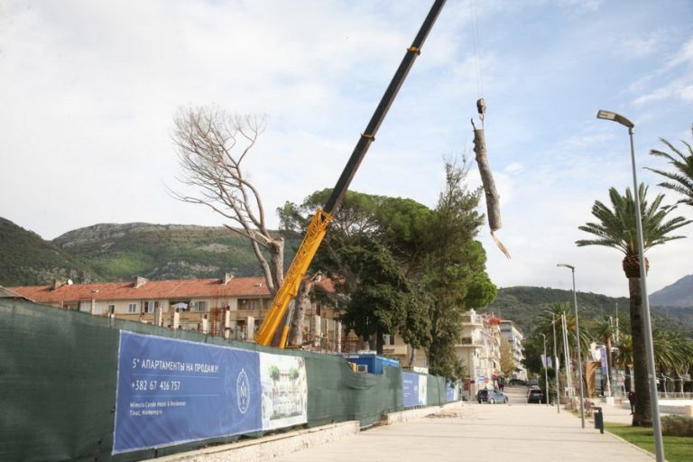 Nastavljeno desetkovanje nekadašnje botaničke oaze na gradskoj rivi Tivta