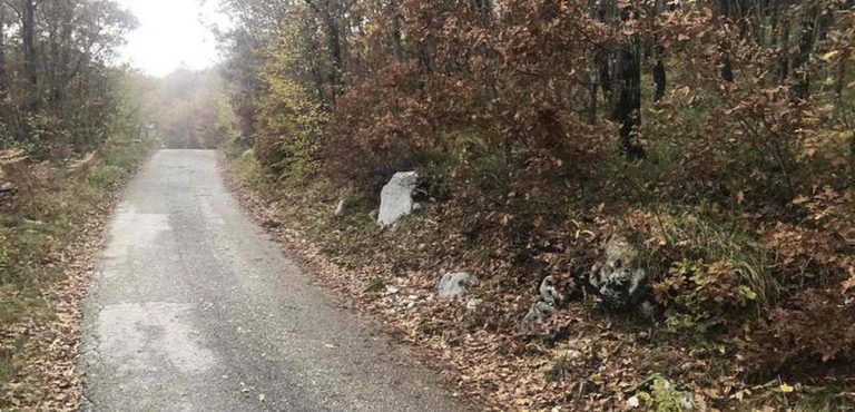 Uznemirujuće: Otrovani lovački psi u Krivošijama
