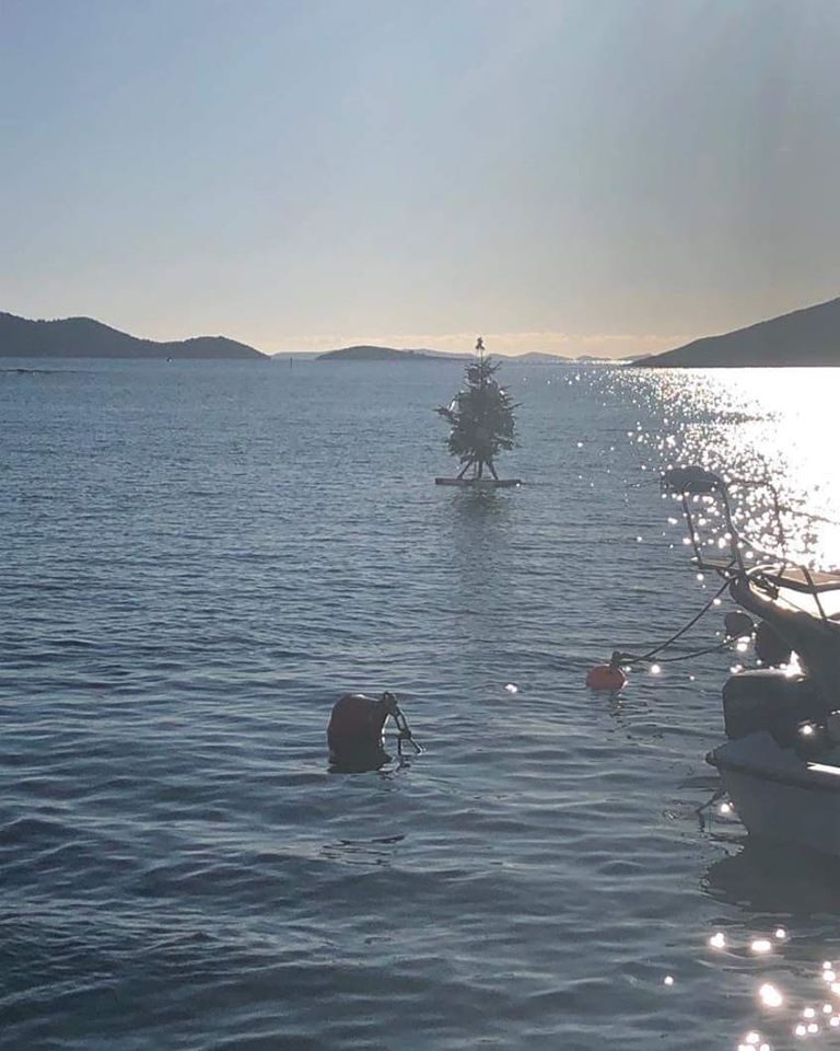 Kud plovi ovaj bor? Fotografija koja dočarava božićni ugođaj u Dalmaciji