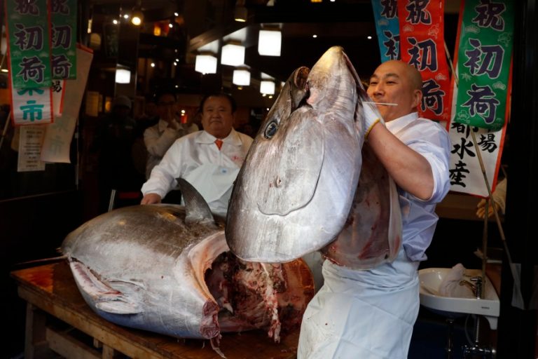 Tuna od milion i po eura prodata na pijaci u Japanu