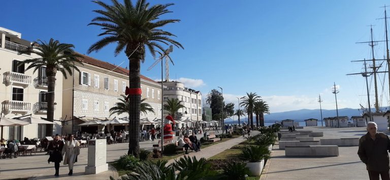 Tivat – još se ne zna sa čime i kada će zamijeniti uništene  palme
