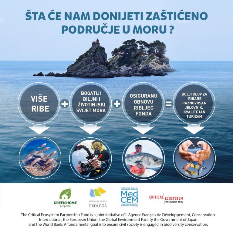 Green Home: Crna Gora daleko je od ispunjenja obaveza proisteklih iz Konvencije o biološkoj raznovrsnosti u pogledu zaštite mora
