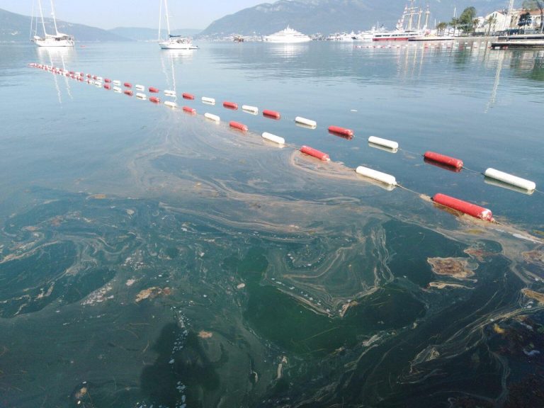Ekološka inspekcija progledala kroz prste Opštini Tivat