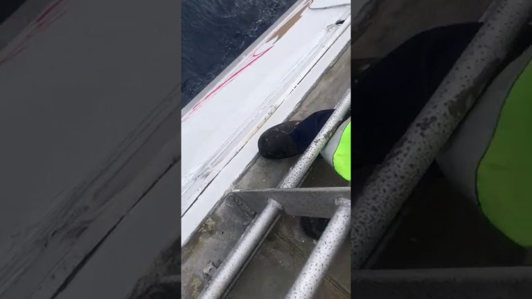 Sudar dvaju trajekata na Kanarima