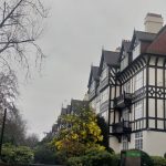 Mimoza u Londonu – foto Jason Gold