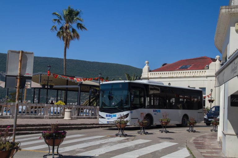 “Blue line” besplatno do polugodište prevozi đake iz Gradiošnice