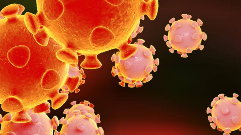 Tim za zaštitu i spašavanje Opštine Kotor razmatrao situaciju za buduće djelovanje svih službi vezanih za korona virus