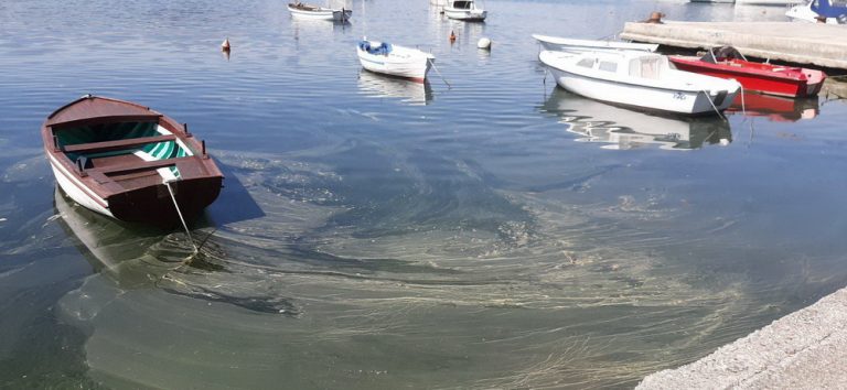 Komunalna inspekcija  na tragu počinioca zagađenja mora