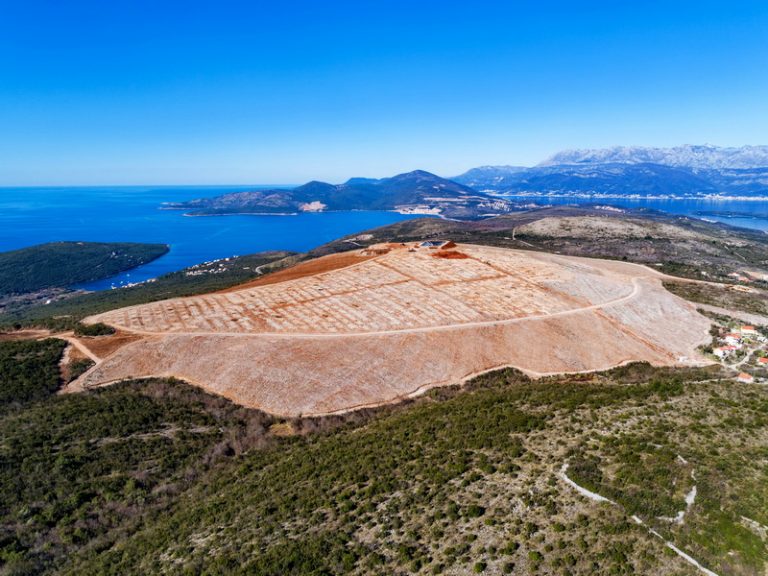 U zaleđu Boke Kotorske posadili 13.000 maslina, planiraju…