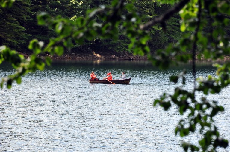 NP Biogradska gora posjetilo 50,7 hiljada turista