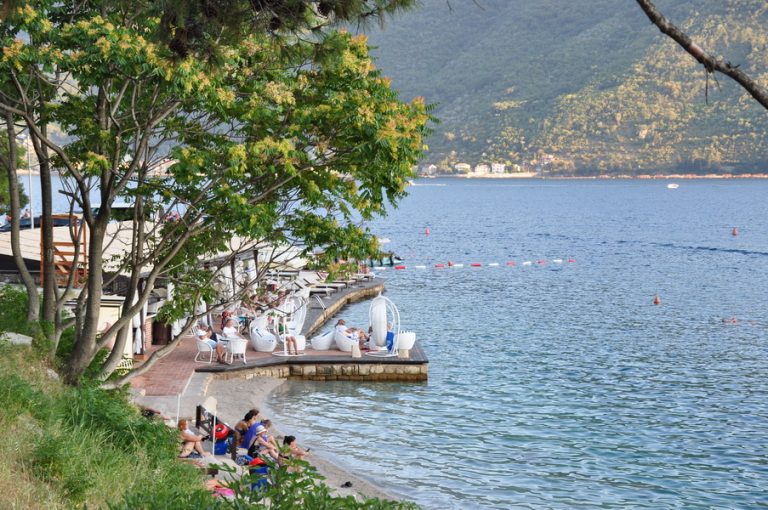 Prof. dr Rade Ratković: Praksa je pokazala da se turizam brzo oporavlja od krize