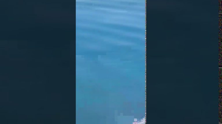 Ekološki incidenti u Tivatskom zalivu