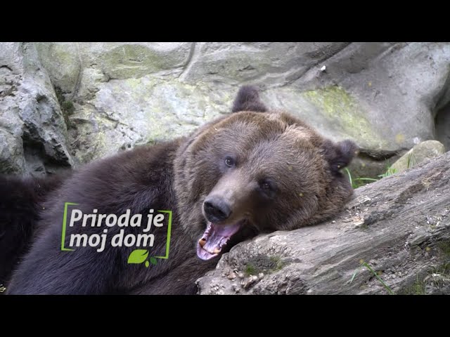 NPCG predstavili promotivni spot “Priroda je moj dom”