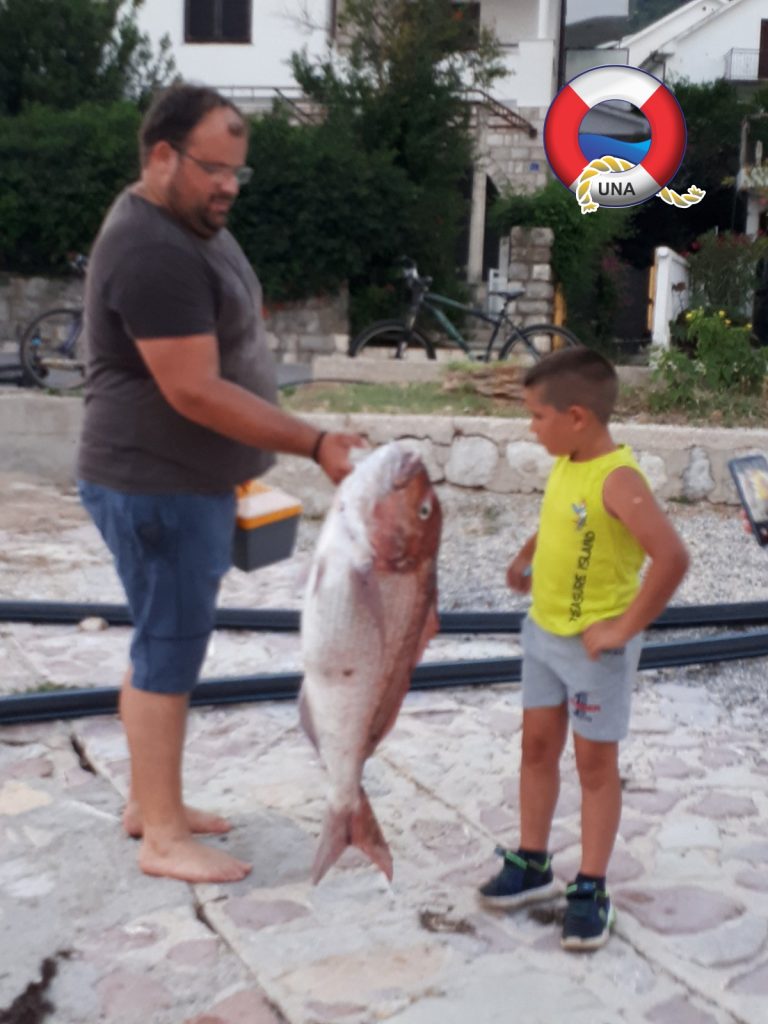 Cvjetkoviću “Ulov mjeseca” za pagra od 13 kilograma