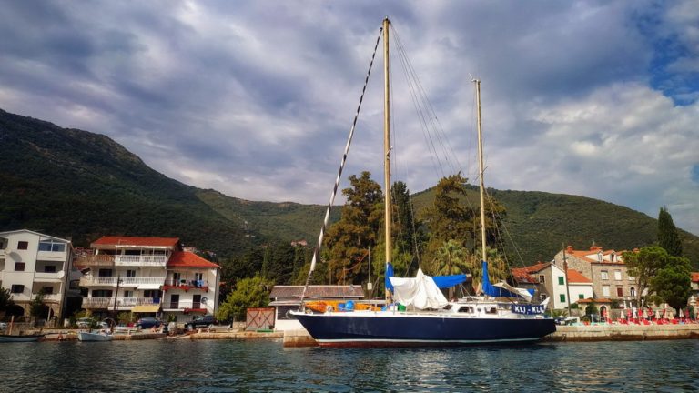 Neumorni svjetski putnik „Kli-Kli“ skrasio se u Novom