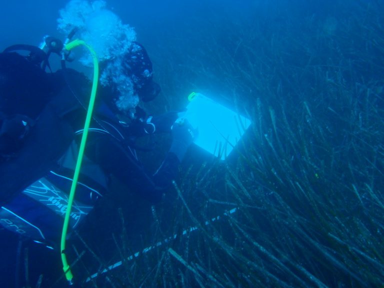 Dok čekamo proglašenje zaštićenog područja u moru Katič, staništa morske livade (Posidonia oceanica) polako iščezavaju
