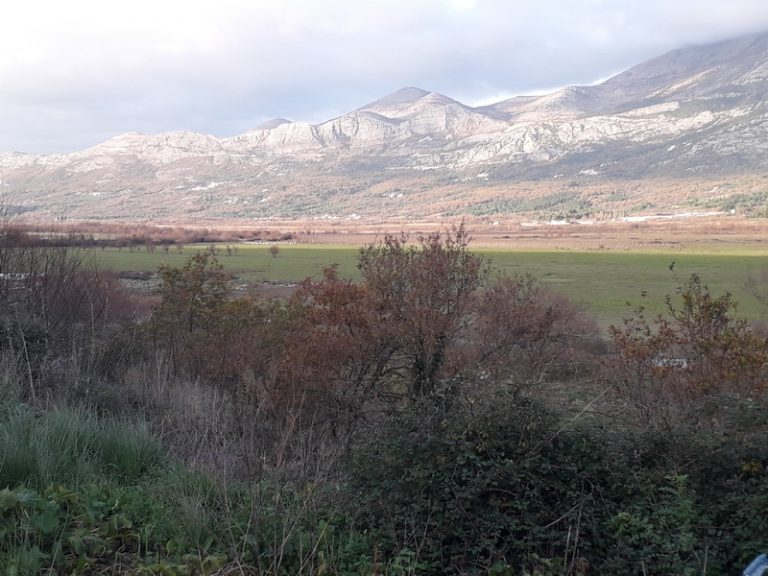 Konavle – Izbjeglice traže malo vode i koju smokvu…
