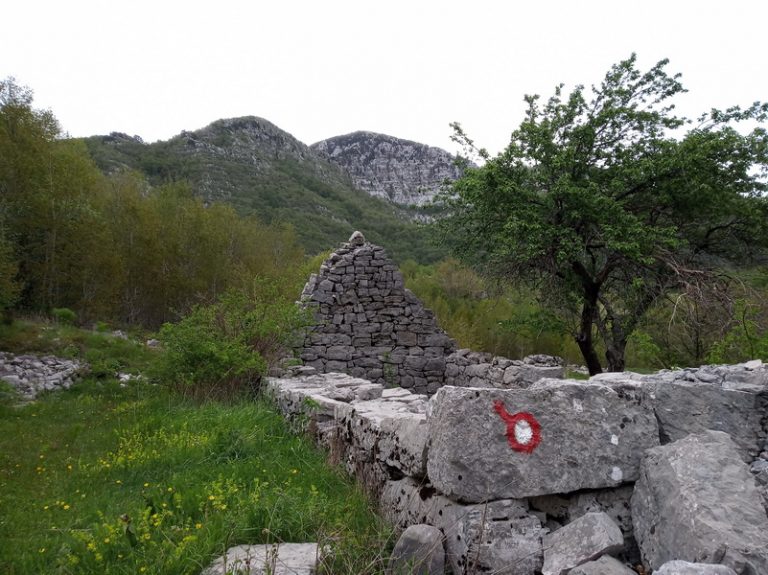 Pješačka tura “Stazom zdravlja”