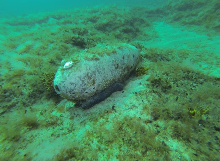 U podmorju turističkog mjesta na jugu Istre: Pronađene stotine avionskih bombi!
