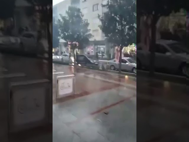 DPS Tivat: Nećemo dopustiti da biser crnogorskog turizma postane nacionalističko vašarište