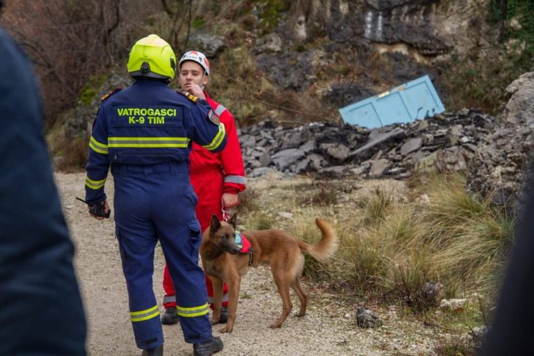 Reks -jedini licencirani spasilački pas u Crnoj Gori: Na terenu može zamijeniti 25 ljudi