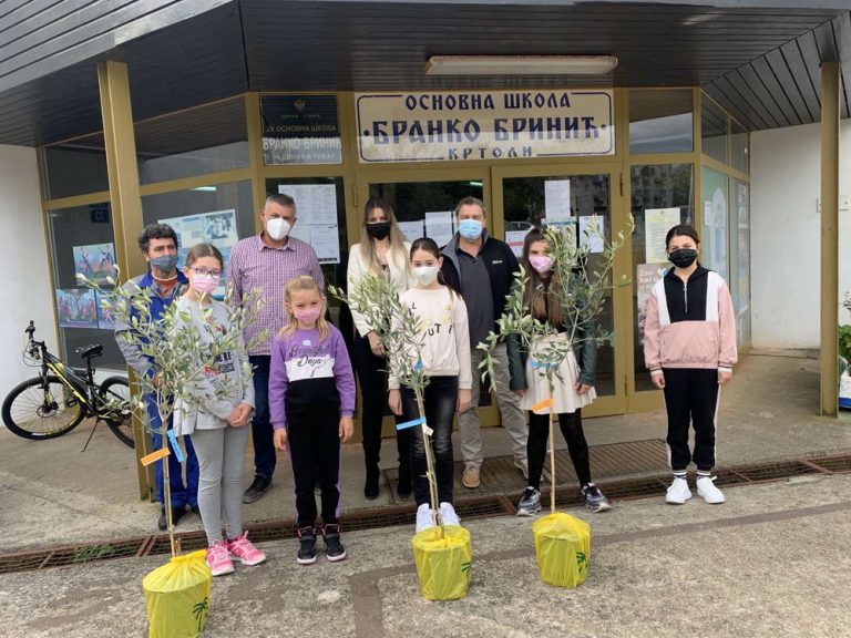 Kotorski Rotarijanci donacijom stabala maslina obilježili Dan planete Zemlje