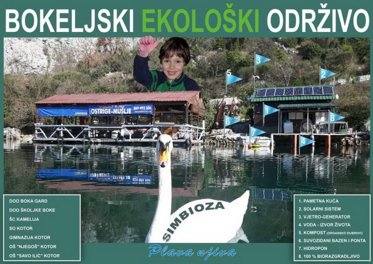 Školjke Boke – brojne ekološke aktivnosti za Dan planete