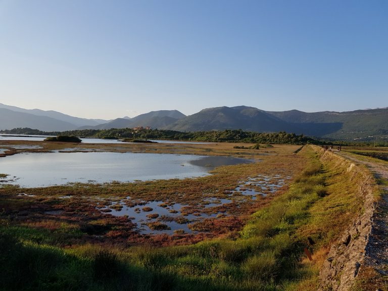 Morsko dobro i Opština Tivat – unaprediti infrastrukturu