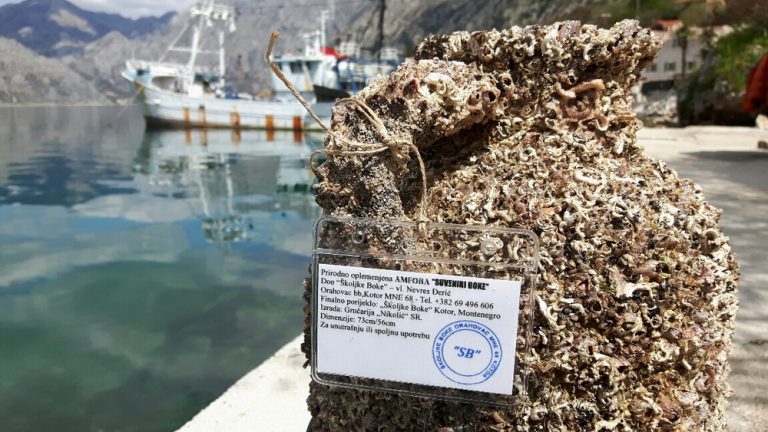 Školjke Boke – Prva izložba patentiranih amfora i vina
