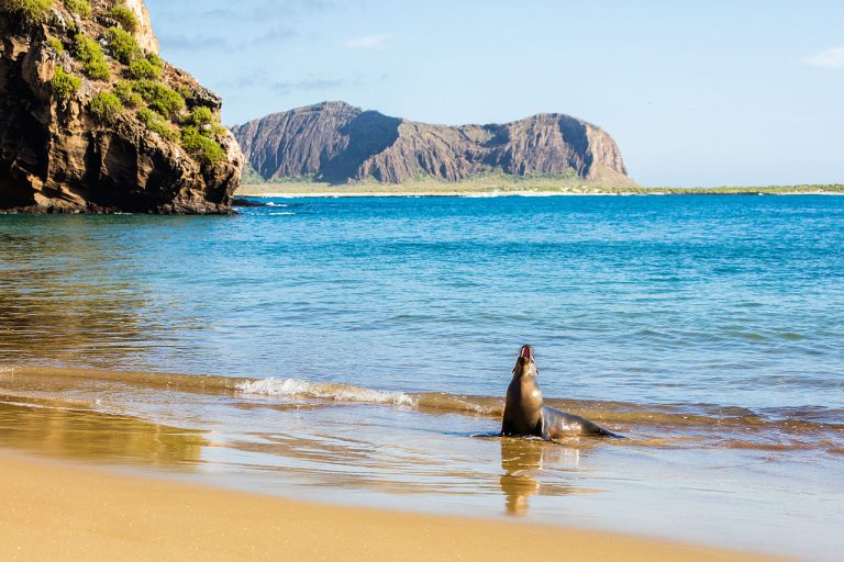 Protiv zagađenja otočja Galapagos plastikom borit će se i umjetna inteligencija