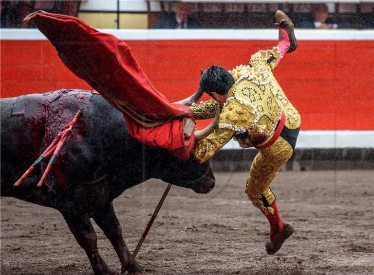 Španci prvi put nakon pandemije u madridskoj areni gledali koridu