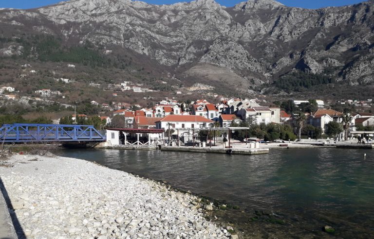 Akcija čišćenja morskog i obalnog područja Risanskog zaliva 5. juna