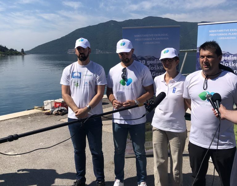 Akcija čišćenja morskog i obalnog područja Risanskog zaliva