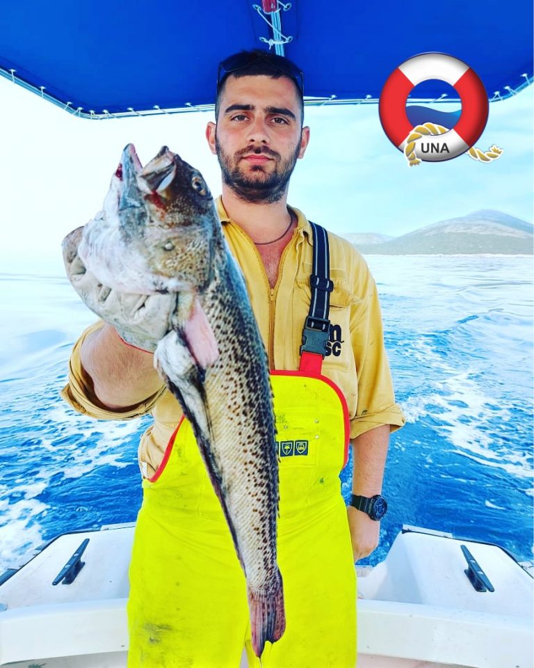 Kraljeviću ulov mjeseca maja