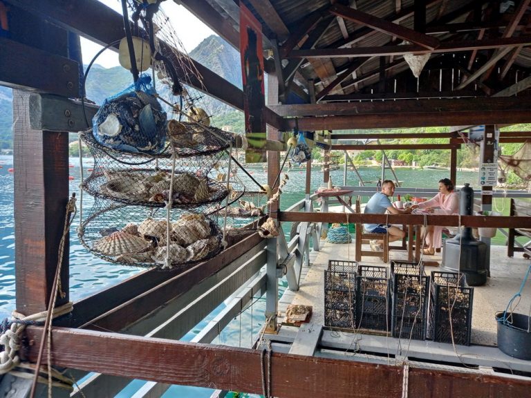 “Školjke Boke” – autentičan dodir s morem i gastronomski užitak