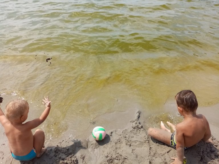 More na Plavom horizontu prljavo-zelene boje, inspekcija naložila vanrednu analizu kvaliteta vode