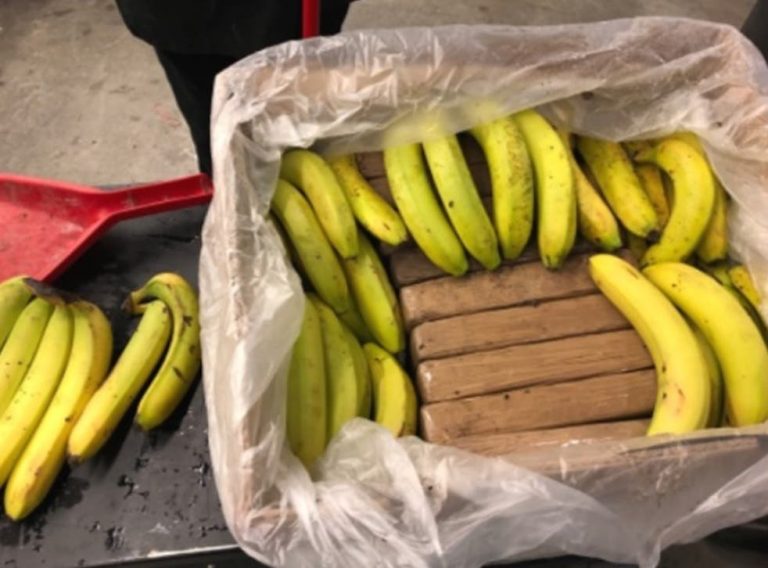 Kokain krijumčarili u bananama: Prodavačica u radnji u Pločama pronašla više od 18 kilograma droge