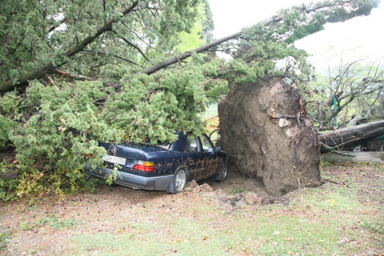 Nevrijeme oštetilo automobile, čupalo stabla, pričinilo ogromnu materijalnu štetu u auto kampu “Bova” u Tivtu