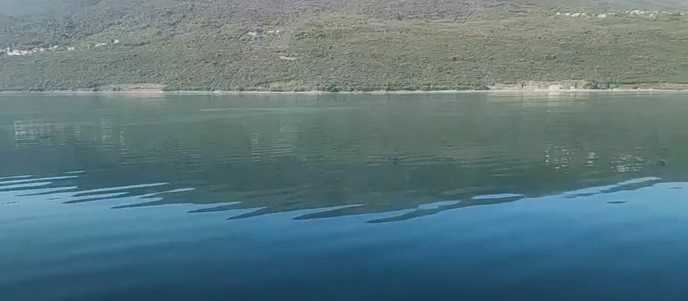 Zagađenje mora u Boki Kotorskoj, obaviješteni nadležni organi (Video)