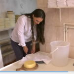 Prosec pravljenja sira