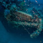 Tihany – Mamula olupina