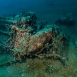 Supermarine SPITFIRE MK IX Trop olupina – Herceg Novi