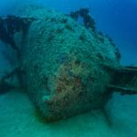 Golesnica 91 – Zanjice